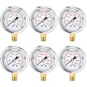 0-5000 Psi 6 Pcs Glycerin Liquid Filled Oil Pressure Gauge, White