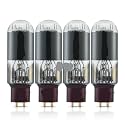 1/2/4PCS 845 Audio Tube Amplifier(4 PCS)