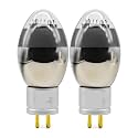 1/2/4PCS ZX-101D Audio Tube Amplifier(2 PCS)