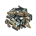 1/4 Pound of Highly Polished Paua Abalone Shell Nuggets: 20-50mm (565-TNHP-4)