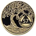 1 to 50 Year Twisted Tree of Life Sobriety Coin - Gold Plated AA Chips &amp; Medallions - 57 Year Sobriety Coin - Black