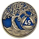 1 to 50 Year Twisted Tree of Life Sobriety Coin - Gold Plated AA Chips &amp; Medallions - 45 Year Sobriety Coin - Translucent Blue
