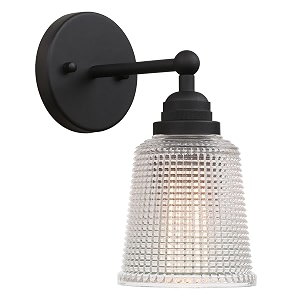 1-Light Indoor Glass Wall Sconce with Clear