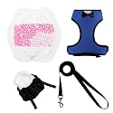 1-Pack Washable Poultry Diaper Harness | Leak-Resistant Chicken Duck Diaper with Poop Bag &amp; Reflective Strips | Lab-Tested 12-Hour Dryness | Adjustable Vest Design (Small, Blue)