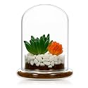 1 Pcs 4.7 x 6.3 Inch Clear Glass Dome Terrarium with Air Hole & Base