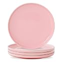 10.25-Inch Dinner Plates, Set of 4, Pink