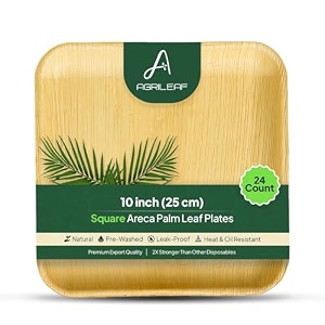 1034 square areca palm leaf plates 24-pack  better than paper amp bagasse  eco friendly compostable microwave amp freezer safe  strong amp sturdy  use amp throw  parties events weddings