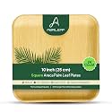 10" Square Areca Palm Leaf Plates (24-Pack) | Better Than Paper &amp; Bagasse | Eco Friendly, Compostable| Microwave &amp; Freezer Safe | Strong &amp; Sturdy | Use &amp; Throw | Parties, Events, Weddings