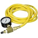 10' Hose With Gauge 3/16"" ID