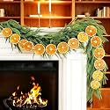 10 Ft Dried Orange Garland, 30 Slices, Christmas Fall Farmhouse Decorations