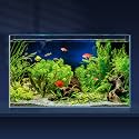 LAQUAL 10 Gallon Ultra Clear Glass Fish Tank, Rimless Low Iron Aquarium for Betta/Nano/Goldfish/Snail/Shrimp, Big Fish Tank &amp; Cover Set &amp; Feeding Ring &amp; Cleaning Tools