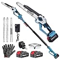 10-Inch 2-in-1 Cordless Pole Saw &amp; Mini Chainsaw for Tree Trimming