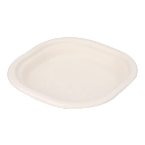 10 inch 25 count square beige disposable bagasse paper plates  eco-friendly sugarcane plates for wedding party cafes  ideal for both hot amp cold food