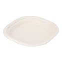 [10 inch, 25 Count, Square, Beige Disposable Bagasse Paper Plates | Eco-Friendly Sugarcane Plates for Wedding, Party, Cafes | Ideal for Both Hot &amp; Cold Food