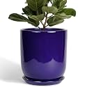10 Inch Plant Pot, Ceramic Pot for Indoor Plants, Blue