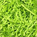 10 LB Fluorescent Green Crinkle Cut Paper Shred Filler, Basket Filler Shredded Paper, Confetti Stuffing for Basket Filling, Party, Halloween, Thanksgiving, Gift Wrapping, Box Stuffer