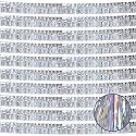 10 Pack 10 Feet Silver Fringe Garland Foil Fringe Garland Colorful Parade Float Fringe Metallic Streamers Tinsel Fringe Banner for Birthday Party Decor Halloween Christmas Decoration