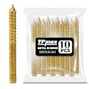 TPmax 10 Pack 5/16-18 x 3 Inch Hanger Bolts Double Headed Bolts Self-Tapping Screw Hanger Bolts for Furniture (5/16-18" x 3")