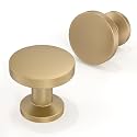 10 Pack Champagne Bronze Cabinet Knobs 1-1/5 Inch(30mm) Single Hole Cabinet Pulls Round Kitchen Cabinet Knobs Drawer Knobs