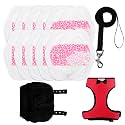 10 Pack Super Absorbent Pet Training Pads + 1 Set Durable Pet Leash &amp; Harness | Leak-Proof Essentials for Indoor &amp; Travel (S Size Red)