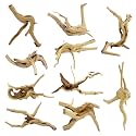 10 Pcs Natural Small Spiderwood for Aquarium, Aquarium Driftwood Freshwater 4-6 Inch, Assorted Size Spider Wood, Twisted Branches for Fishtank Accessories, Reptile Terrariums Decorations