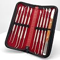 10 Pcs/Set Dental Plaster Knife Waxing Carving Lab Tools Teeth Whitening Stainless Steel Carving Instruments Kit