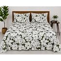 100 Cotton Double Bedsheet Set with Pillow