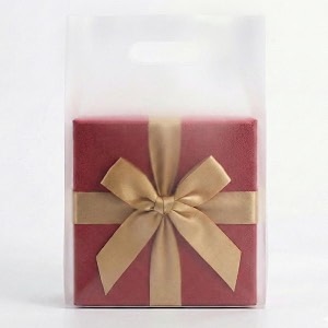 100 Frosted Clear Plastic Bags With Handles