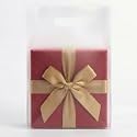 100 Frosted Clear Plastic Bags With Handles