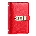 100 Lockable Savings Book to Help You Organize and Reach Your Savings Goals