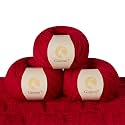 100% Merino Wool Yarn, 3-Ply Luxurious and Soft Yarn for Hand Knitting &amp; Crocheting (Red,3Balls)