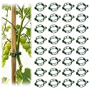 100 Pack Plant Support Clips, Reusable Plastic Garden Clips for Climbing Plants, Tomatoes, Vines, Vegetables, Secure Stems to Trellises, Stakes and Cages (Green, 200pcs)