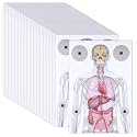 100 Pcs Anatomical Shooting Target for The Range