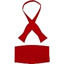 Men's 100% Silk Self-Tie Bow Tie and Cummerbund Set with Gift Box