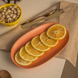 10club ceramic oval chip and dip plate peach - serving plates and platters for snacks elegant snacks plates for parties and gatherings durable and stylish tableware