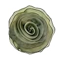 10inch Extra Large Flower Brooch Pin for Women Fashion Dainty Organza Satin Fabric Big Camellia Brooches Lapel Pins Wedding Dance Party Dress Accessories Exaggerated Jewelry Gift