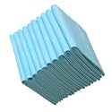10 Pack Disposable Absorbent Incontinence Pad for Bed Protection