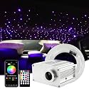ATOKEE 10W Twinkle Starlight Headliner Kit 150pcs 0.03in 6.5ft