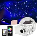 ATOKEE 10W Twinkle Starlight Headliner Kit 250pcs 0.03in 9.8ft