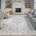 10x14 Blue Neutral Area Rug