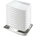 11-Pack 9 inch Disposable Plastic Paint Roller Tray -Come Up with Extra Metal Tray Liner - Ideal for DIY Painting House Projects