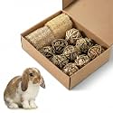11 Pcs Rabbit Chew Toys, Interactive Bunny Foraging Toy, Natural Materials, Loofah Sponges, Seagrass Balls, Dental Cleaning, Relieve Stress