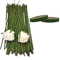 12 Inch Dark Green Floral Stem Wire Crafting Floral Paper Wrapped Stick for Artificial Flowers Making, Plant Stub Stem (50 pc wire &amp; 2pc Tape, Green Floral Wire with Green Floral Tape)