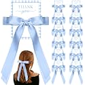12 Pack Blue Bow Party Favors Hair Bows for Girls Coquette