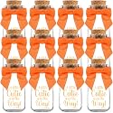 12 Pack Little Cutie Glass Bottles - Vintage Baby Shower Favors for Guests