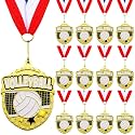 12 Pcs Gold Award Medals Bulk 2.2 Inch Basketball Volleyball Royal Dance Softball Metal Medals with Neck Ribbons Metal Trophy Award Prize Gifts for Tournaments Sports Competitions