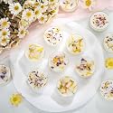 12 Pcs Scented Tealights Candles Dried Flower Wedding Bridesmaid Gift