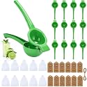 12 Set Lemon Squeezer Bulk Manual Juicer Citrus, Green