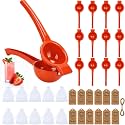 12 Set Lemon Squeezer Bulk Manual Juicer Citrus, Orange