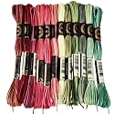 12 Skeins 105 Yards Cross Stitch Floss Embroidery Thread 6 Ply Variegated Friendship String Polyester Christmas Color Threads for Sewing Making Bracelets Clothes Stitching Decor Craft DIY